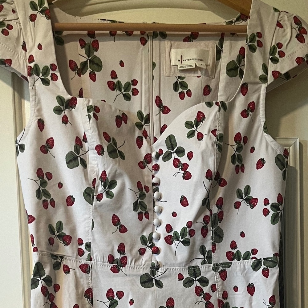 Anthropology dress
